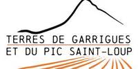 Terres de garrigues