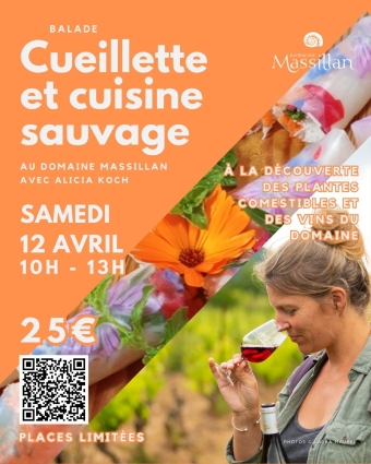 balade plantes comestibles avec Alicia Koch