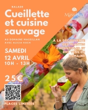 balade plantes comestibles avec Alicia Koch