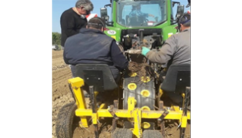 Production d’asperges