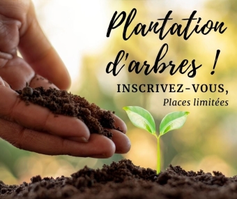 Projet de plantation d’arbres