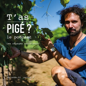 Podcast « T’as pigé »